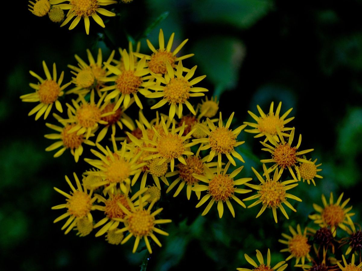 DE WARME DAGEN ZIJN IN&nbsp;ZICHT